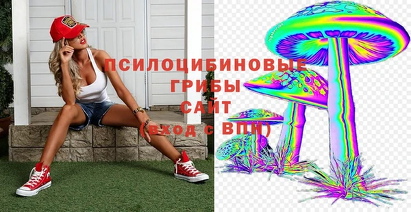 не бодяженный Няндома