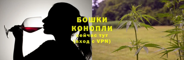 молекула духа Сатка
