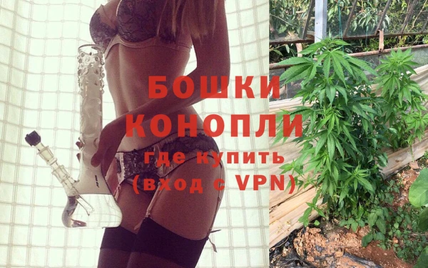 молекула духа Сатка