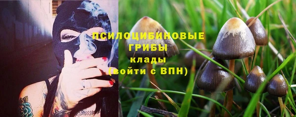 молекула духа Сатка