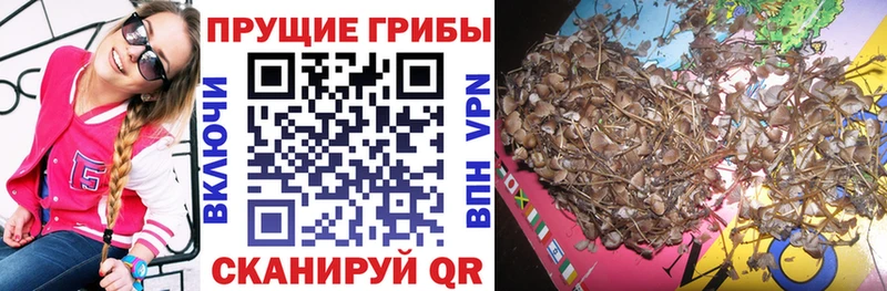 Псилоцибиновые грибы мухоморы  Алатырь 