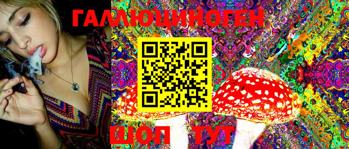 даркнет сайт  Алатырь  Галлюциногенные грибы прущие грибы 