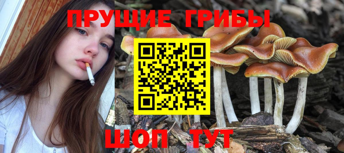 Галлюциногенные грибы ЛСД  Вход с VPN  Алатырь  Галлюциногенные грибы прущие грибы 